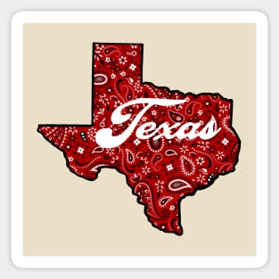 Paisley Texas Sticker